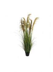 Artificial Plant With Natural Dry Pampas Leaves Green 165x80x80cm