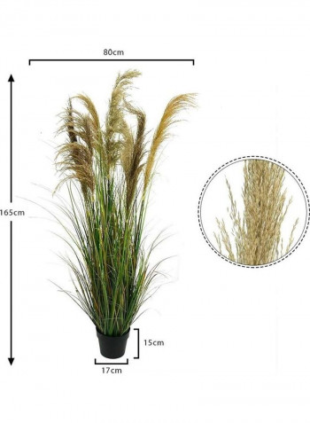Artificial Plant With Natural Dry Pampas Leaves Green 165x80x80cm