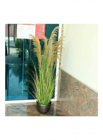 Artificial Plant With Natural Dry Pampas Leaves Green 165x80x80cm