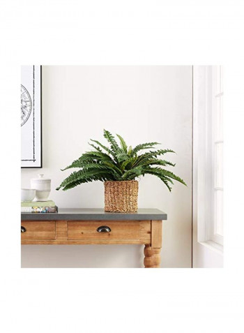 2-Piece Artificial Boston Fern Set Green 40inch