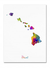 Hawaii Map Canvas Wall Art Multicolour 14 x 19inch