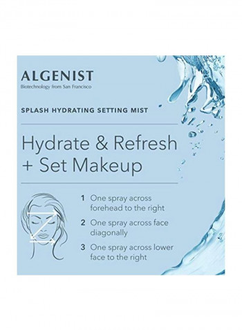 Splash Hydrating Setting Mist 4ounce