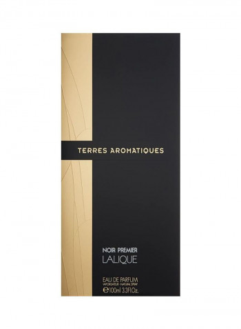عطر نوار بريميير تيريز أروماتيك EDP 100مل