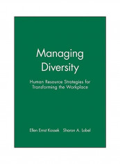 Managing Diversity: The Limits Of Inquiry Paperback
