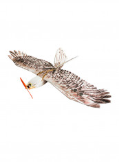 DW HOBBY Biomimetic Eagle EPP Mini Slow Flyer 1200mm Wingspan RC Airplane Kit 54x29x8centimeter