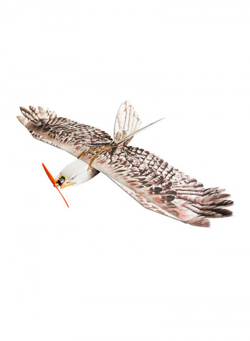 DW HOBBY Biomimetic Eagle EPP Mini Slow Flyer 1200mm Wingspan RC Airplane Kit 54x29x8centimeter