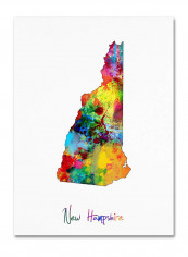 Hampshire Map Canvas Wall Art Multicolour 18 x 24inch