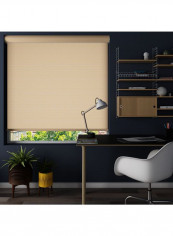 Single Mist Solar Non-Blackout Window Shade Beige 160x175cm