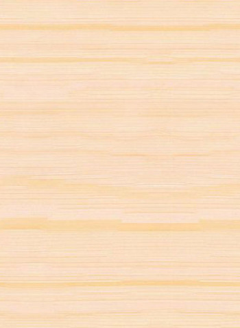 Single Mist Solar Non-Blackout Window Shade Beige 160x175cm