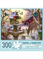 300-Piece Jigsaw Puzzle Set