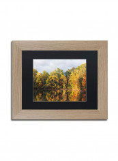 Autumn Reflection Birch Frame Acrylic Art Multicolour 11 x 14inch