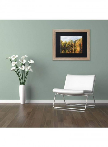 Autumn Reflection Birch Frame Acrylic Art Multicolour 11 x 14inch