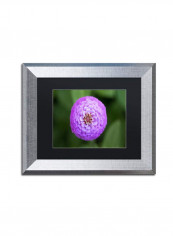 Prospect Light Panoramica 2 Color Canvas Wall Art Multicolour 6 x 19inch