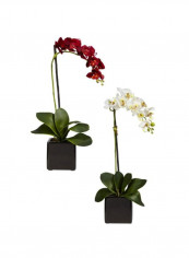 Artificial Phalaenopsis And Orchid Flower With Vase Red/Green/White