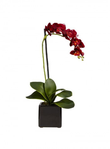 Artificial Phalaenopsis And Orchid Flower With Vase Red/Green/White