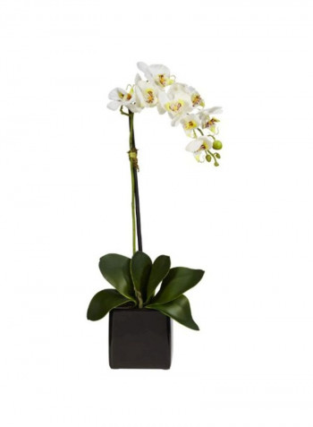 Artificial Phalaenopsis And Orchid Flower With Vase Red/Green/White