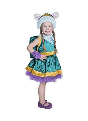 PAW Patrol Everest Costume M