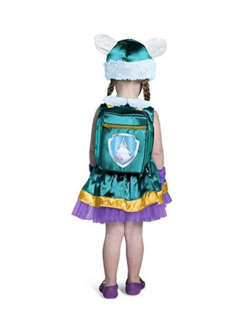 PAW Patrol Everest Costume M