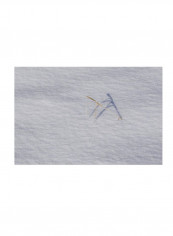 Winters Bleak Beauty Canvas Wall Art White 16 x 24inch