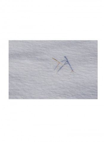 Winters Bleak Beauty Canvas Wall Art White 16 x 24inch