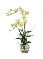 Natural Liquid Illusion Dendrobium Silk Flower With Glass Vase White/Green/Clear
