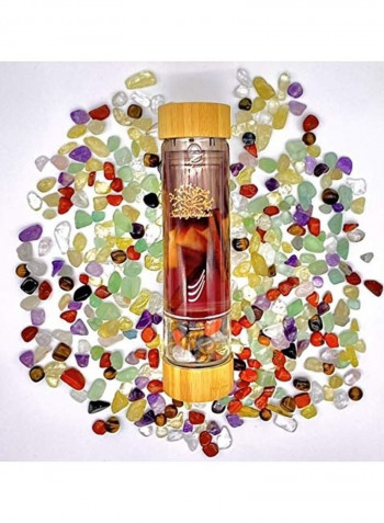 Simply Crystals Wellness Water Bottle With Tea And Fruit Infusers Plus Clear/Tanned