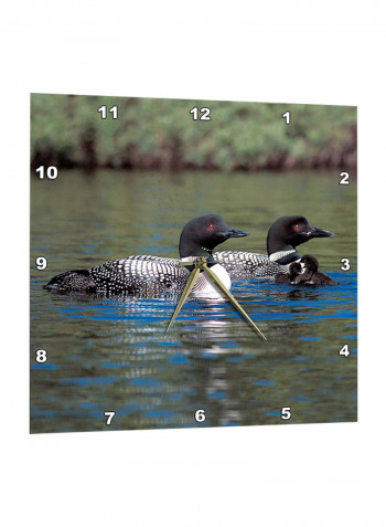 Loons Printed Wall Clock Multicolour 13 x 13inch