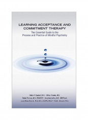 Learning Acceptance And Commitment Therapy Paperback