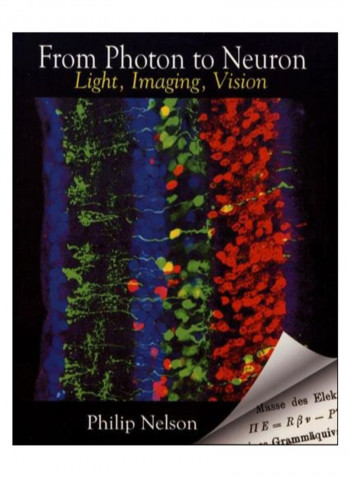 From Photon To Neuron Paperback