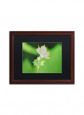 Beginning Wooden Frame Wall Art Green 16 x 20inch