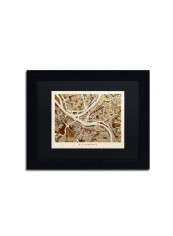 Pittsburgh Pennsylvania Street Map Canvas Wall Art multicolour 18 x 24inch