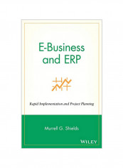 E-Business and Erp Hardcover