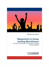 Repayments In Group Lending Microfinance Paperback