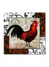 Europa II Canvas Wall Art Multicolour 14 x 14inch