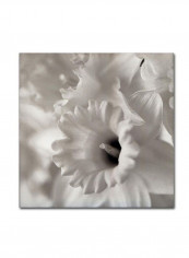 Florison 45 Canvas Wall Art Multicolour 14 x 14inch