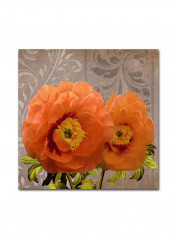 Infatuation IV Canvas Wall Art Multicolour 14 x 14inch