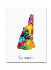 Hampshire Map Canvas Wall Art Multicolour 14 x 19inch