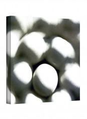 Eggs Gallery Wrapped Canvas Wall Art multicolour 14 x 14inch