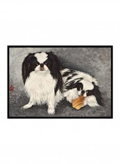 Japanese Chin Impress Indoor/Outdoor Mat Multicolour 11 x 11inch
