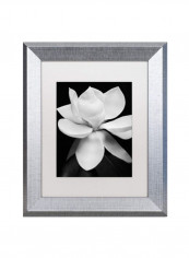 Magnolia Wall Art Black/White 11 x 14inch