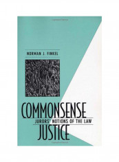 Commonsense Justice Paperback