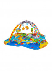 Anika Plus Educational Baby Playgym reviews Anika Plus Educational Baby Playgym