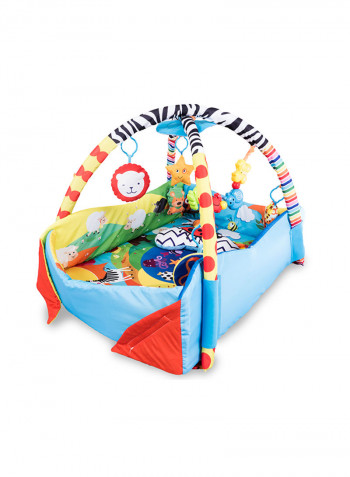 Anika Plus Educational Baby Playgym