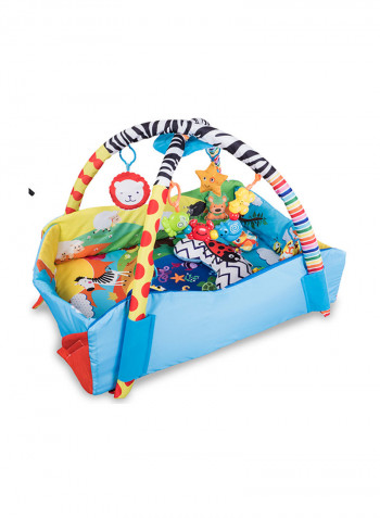 Anika Plus Educational Baby Playgym