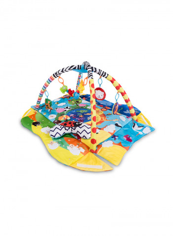 Anika Plus Educational Baby Playgym