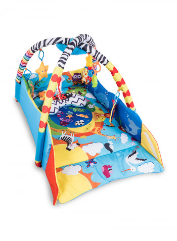 Anika Plus Educational Baby Playgym