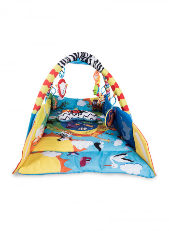Anika Plus Educational Baby Playgym