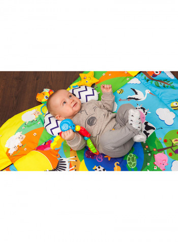 Anika Plus Educational Baby Playgym