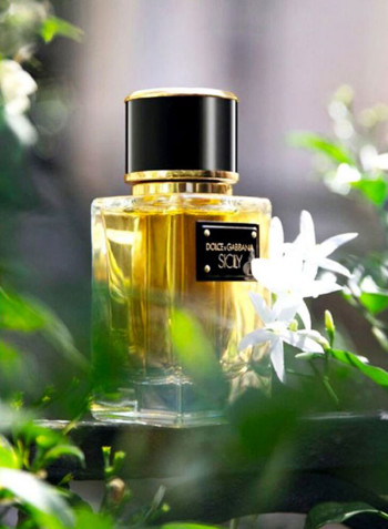 عطر سيسلي 50مل
