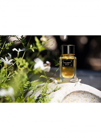 عطر سيسلي 50مل